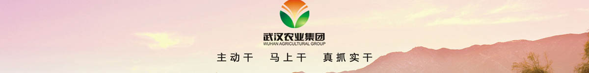 武汉农业集团